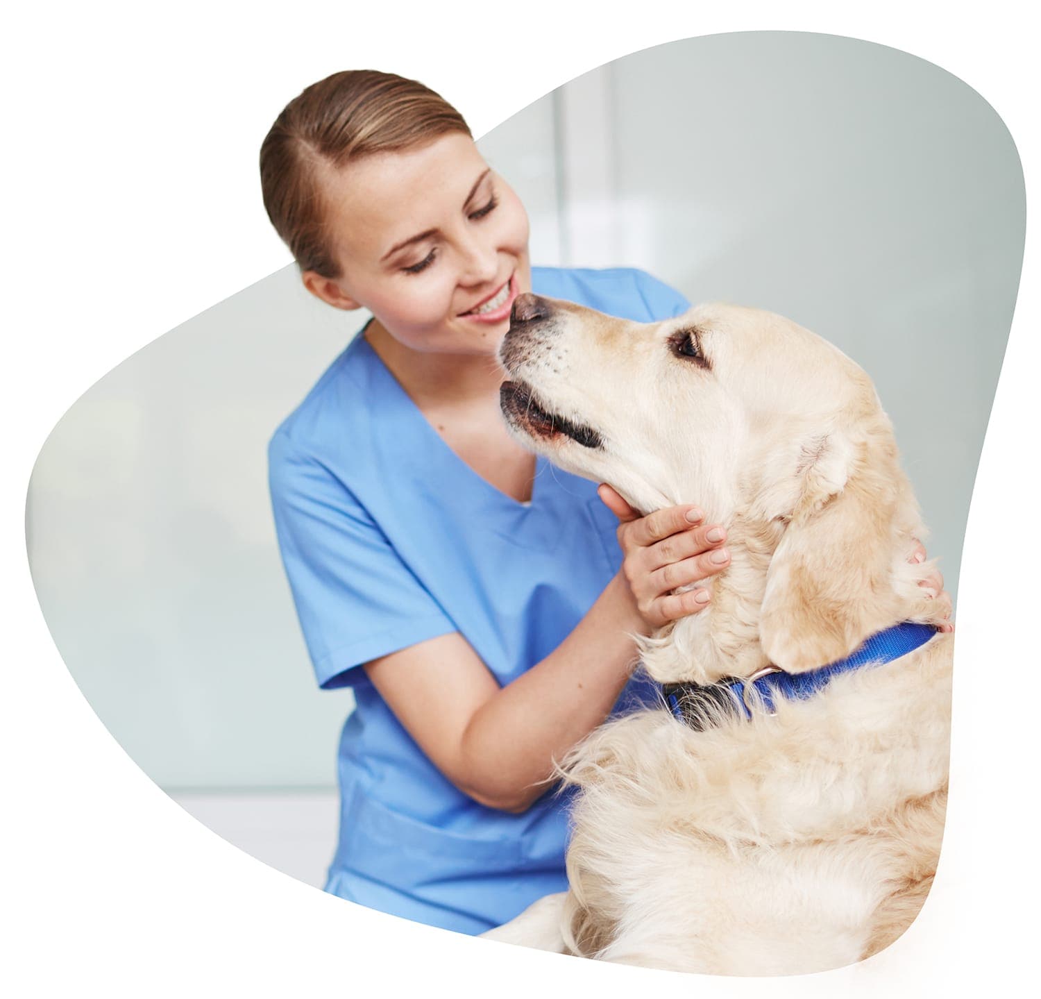 Dierenarts zorgt voor een hond